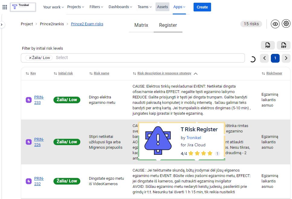 T risk register4