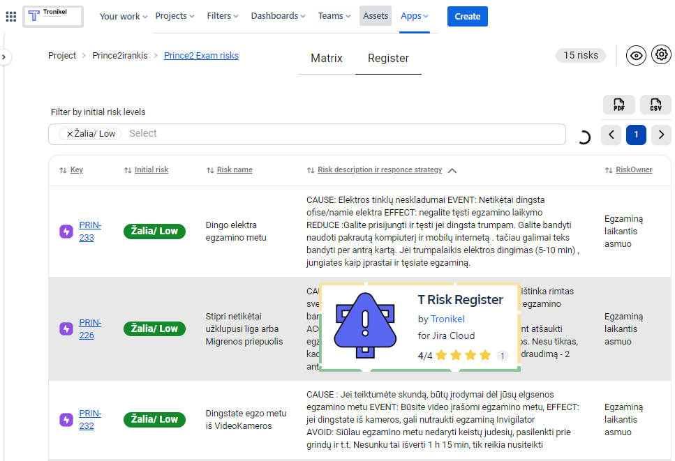 T risk register4